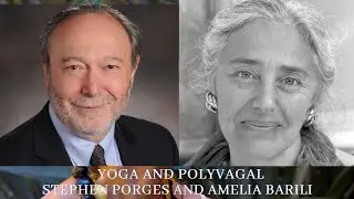 The Power of Your Nervous System for Healthy Relationships and Self-Healing. Stephen Porges/ Barili
