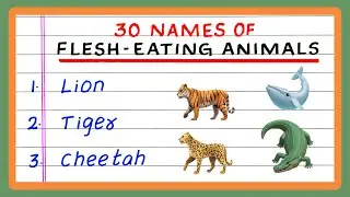 FLESH EATING ANIMALS | 5 | 10 | 20 | 30 FLESH EATING ANIMALS | IN ENGLISH | CARNIVORE ANIMALS