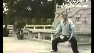 Chen Taijiquan. Master Lingzhi An (凌志安)