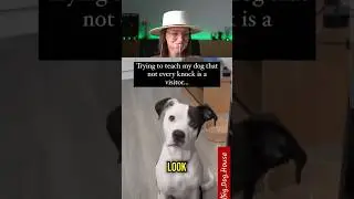 Try Not To Laugh Challenge Part 75 🤣 2025 