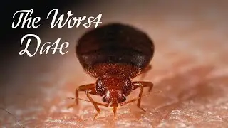 Bed Bugs: Worse Than You Thought