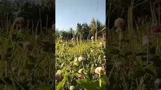 Просто так)))