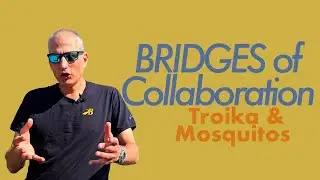Troika Consulting - BRIDGES of Collaboration  #personalgrowth  #businesscoach #liberatingstructures
