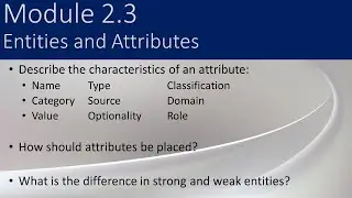 2.3 - Entities and Attributes