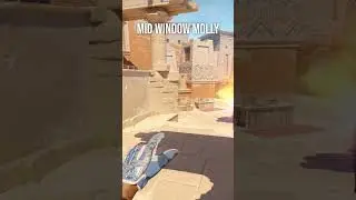 CS2 Anubis Mid Window Molly #cs2 #counterstrike2 #shorts