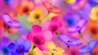 Joe Louis Walker - While My Guitar Gently Weeps.