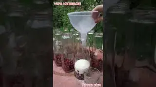 🍒Компот из вишни. Самый легкий и быстрый🍒Albalı (Vişnə) kompotunun sadə və asan  hazırlanması.