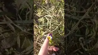 Ноябрь 2023 на Южном Урале сошёл с ума