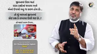 જીવનમાં ઉભા થતાં ઘણા પ્રશ્નોનાં જવાબ અને એનાં ઉપાયો બહુ જ સરળ હોય છે…તો જાણો સરળ ઉપાય…. | Bapu