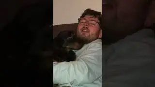 WHAT IT'S LIKE TO HAVE DOGS! | CIAN TWOMEY