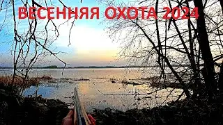ОТКРЫТИЕ ОХОТЫ НА УТОК. ВЕСЕННЯЯ ОХОТА С ПОДСАДНОЙ!!!