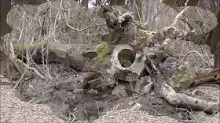 Ausflug in die Stopfenreuther Au am 18.Feb.2018