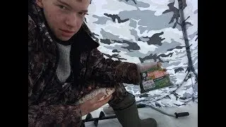 БЕШЕННЫЙ ЖОР ПЛОТВЫ В ГЛУХОЗИМЬЕ !! ОФИГЕТЬ!