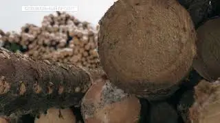ТПП