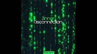 Zinner - Disconnection