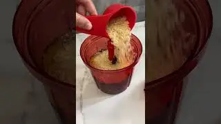 Black Bean Bites