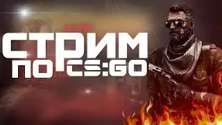 🔴 CS:GO. /ПУТЬ ДО ГЛОБАЛА /ПОДАРКИ НА СТРИМЕ/ИГРЫ С ПОДПИСЧИКАМИ/ДУШЕВНЫЕ РАЗГОВОРЫ.