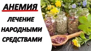 Как лечить анемию народными средствами!?