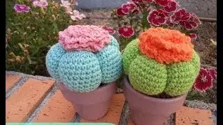 How to make an amigurumi cactus