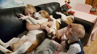 Our children growing up with dogs as their best friends