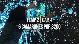 TOUR LIFE - ''6 camarones por $200'' T2 | C4