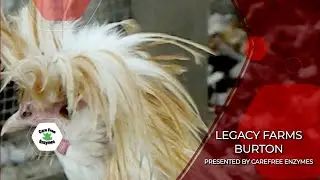 Who are Legacy Farms? Presented by CareFree Enzymes