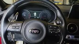 paddle shifter extension