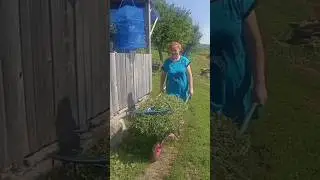 сельский ритуал