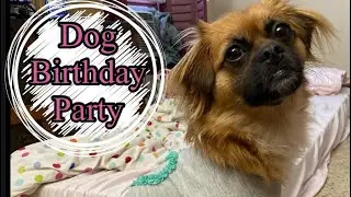 Dog Birthday Party! Birthday Gifts for Dogs / Dog birthday cake / gift bags for dogs
