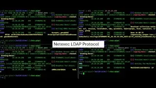 Using Netexec LDAP Protocol