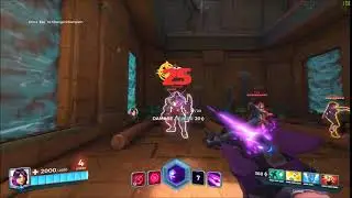 Why Skye Is Retarded | Paladins