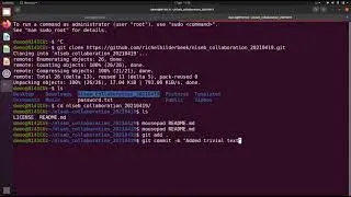 Your first git push