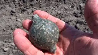 SPINNING TOP