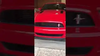 Red Mustang GT CS In The Garage 🐺🐺 #shorts #YouTubeShorts #cars