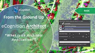 eCognition Architect 1 of 3: What is an Architect Application?