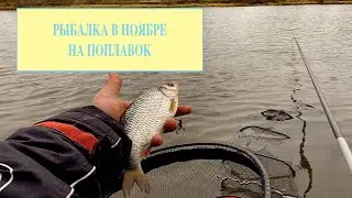 РЫБАЛКА В НОЯБРЕ! ЛОВЛЯ НА РЕКЕ, ПОПЛАВОК 