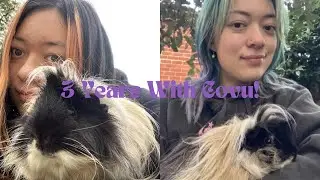 Happy Adoptionversary Covu!