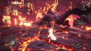 How to Kill Extreme Behemoth With a Balanced Team 21'42" (With Party Chat) Balanced Team Strategy