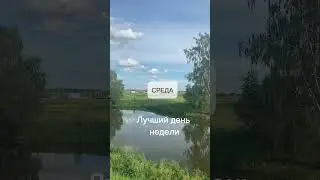 Астропрогноз с 17 по 23 июня. Самая важная неделя месяца. Летнее солнцестояние. Полнолуние
