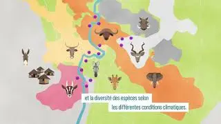 HUM-ANI : Le rôle de la biodiversité dans l'émergence de maladies infectieuses