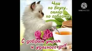 КРАСИВЫЕ ВИДЕО С ДОБРЫМ ДНЁМ