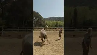 3 Emociones que hay que controlar junto a un caballo #horse #caballos