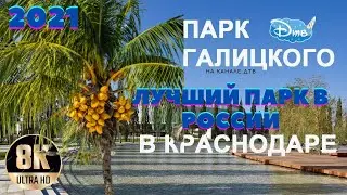 Парк Галицкого в Краснодаре  / ДЕКАБРЬ / 2021