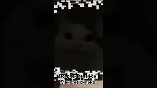 Потряси телефон!