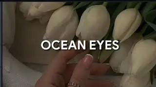 billie eilish - ocean eyes (tradução)