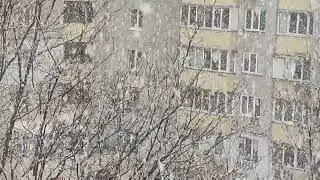 Снегопад в городе #футажи #футажидлямонтажа