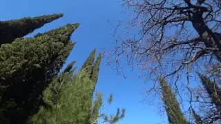 TRAVEL WAGON | Crimea, Livadia | Tour in one minute