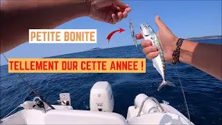SORTIE TRAINE mais... TELLEMENT DUR cet été ! L'EAU est à 19 DEGRÉS !