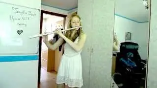 Taylor Swift - You're not sorry (Flute cover - Barbara Klug)