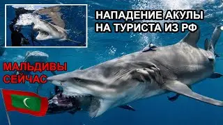 MALDIVES 2022 🇲🇻 EMERGENCY ❗️ SHARK ATTACKED tourist Fulida - Maafushi Shark attacked in Maldives